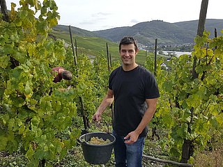 Winzer im Weinberg