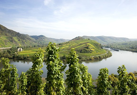 Moselschleife Bremmer Calmont
