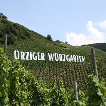Ürziger Würzgarten hoch über der Mosel