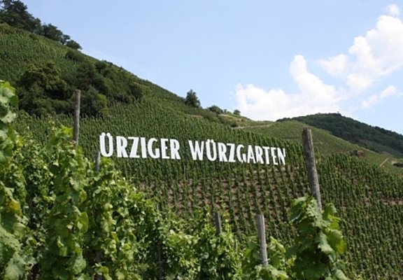 Ürziger Würzgarten hoch über der Mosel