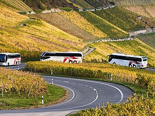 Feuerer Busse auf Fahrt an der Mosel