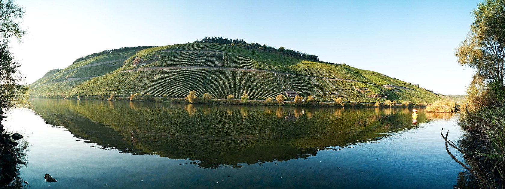 Mosel
