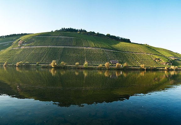 Mosel