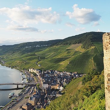 Blick von der Burg auf die Stadt und die Burgmauer