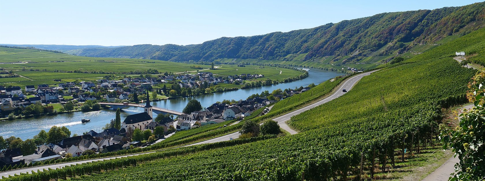 Aussicht auf Piesport an der Mosel