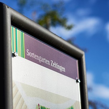 Sortengarten Stehle