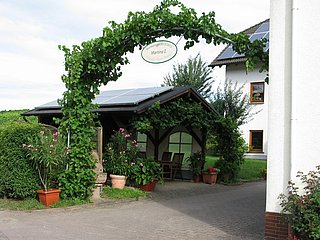 Weingut Hammes-Diedrich Laube