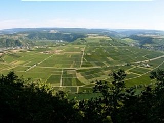 Panorama "Großer Moselblick"