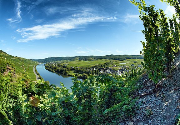 Landschaft Erden