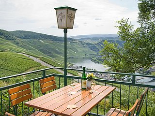 Moselpanorama pur! Foto_Hotel