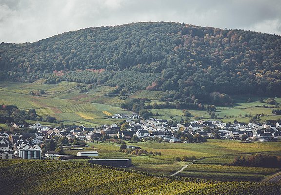 Ausblick ins Tal