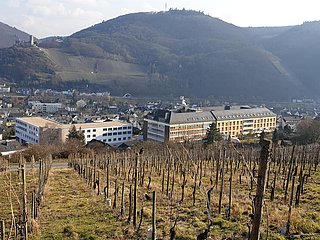 Cusanus- Krankenhaus