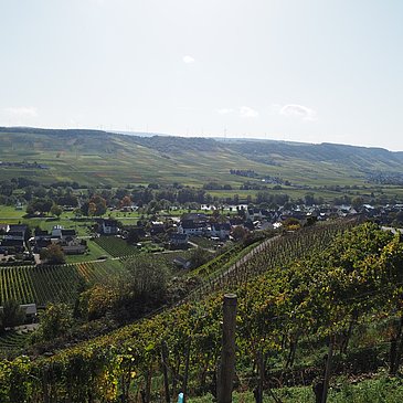 Blick von Monzel auf Kesten