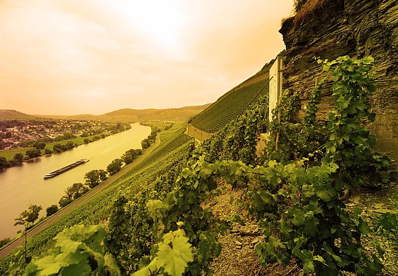 Weinlage Brauneberger Juffer
