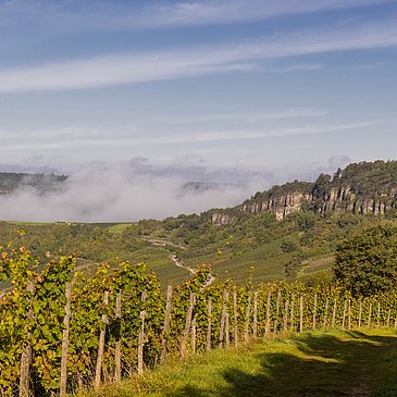 Blick aus den Weinbergen auf Nitteler Felsen
