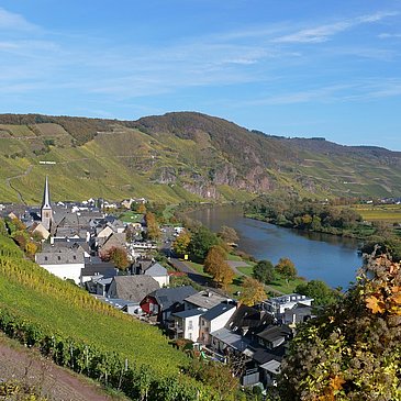 Wandern durch die Weinberge von Ürzig