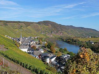 Wandern durch die Weinberge von Ürzig