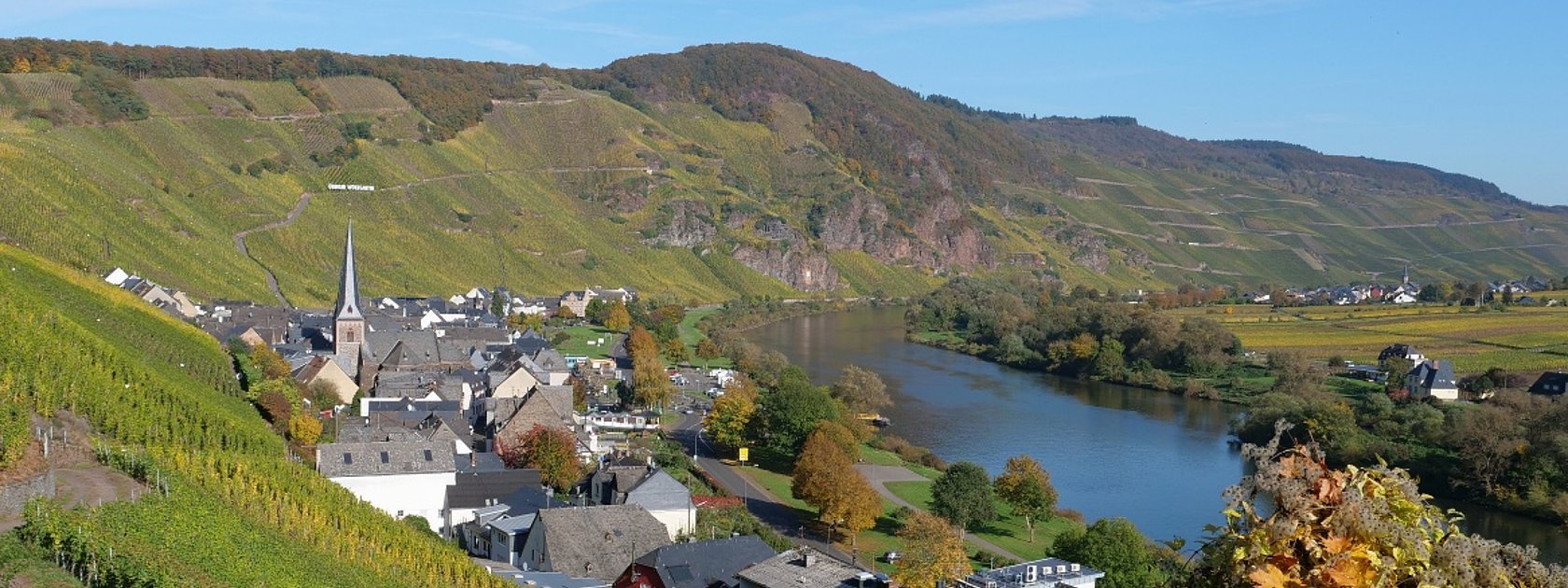 Wandern durch die Weinberge von Ürzig
