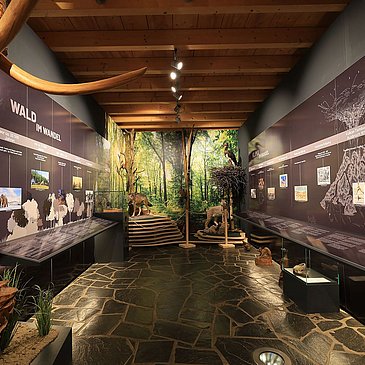 Das BIld zeigt den ersten Austellungsraum des Hunsrücker Holzmuseum. In dem Raum geht es um den Wald. Infotafeln an der Wannd vermitteln Wissen.