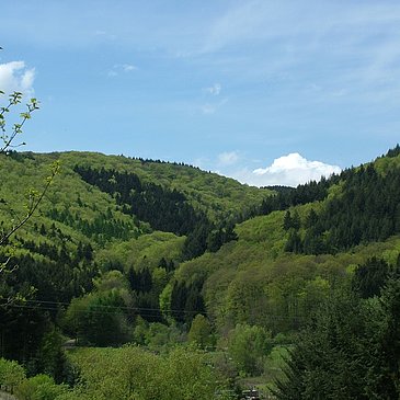 Talblick