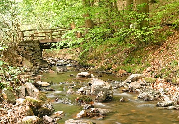 Veldenzer Bach