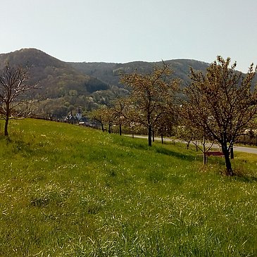 Veldenz