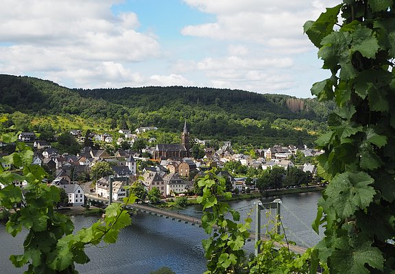 Ausblick auf Wehlen und die Hängebrücke