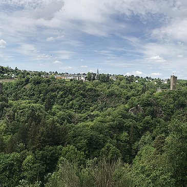 Das Bild zeigt eine grüne Waldlandschaft um die Manderscheider Burgen.