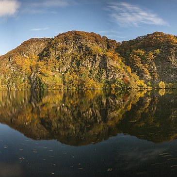 Moselloreley im Herbst