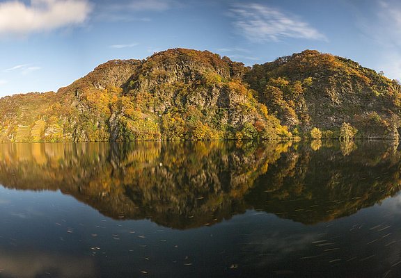 Moselloreley im Herbst