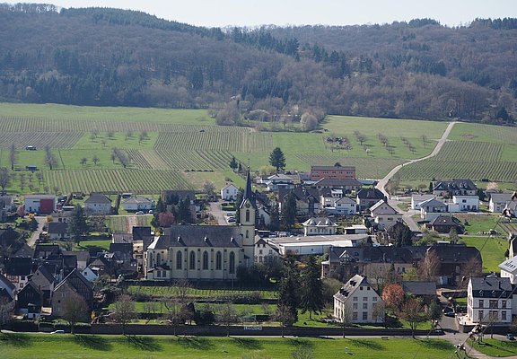 Pfarrkirche St. Vitus