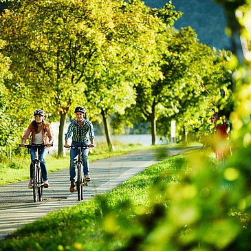 Unterwegs auf dem Moselradweg Quelle Mosellandtour