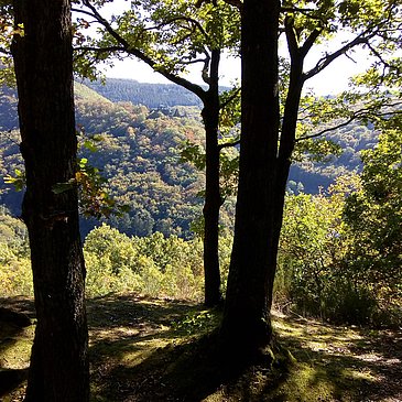 Ausblick entlang der Strecke
