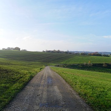 Wiesenweg in der Nähe von Monzelfeld