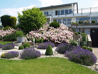 Weingut im Ferienland