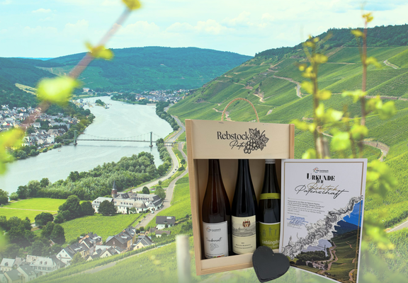 Die Rebstockpatenschaft