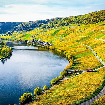 Blick auf die Mosel bei schönem Herbstwetter