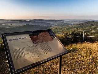 Die Urmosel einfach erklärt