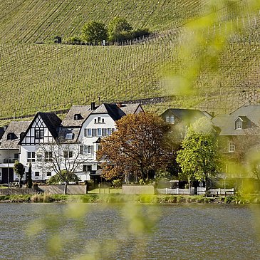 Weingut und Mosel
