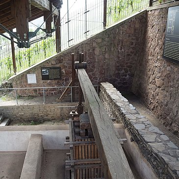 Kelteranlage Brauneberg