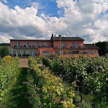 Haus im sommerlichen Weinberg