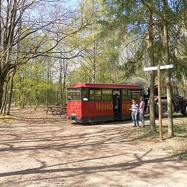 Winzerexpress beim "Großen Moselblick"