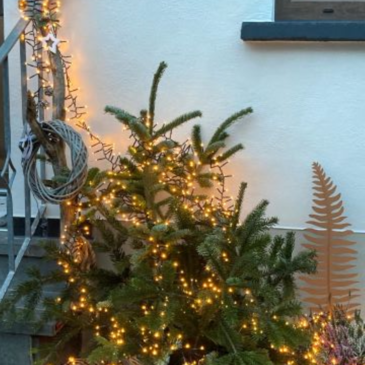 Hausfront Weinacht