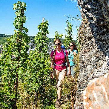 Wanderung durch die Weinberge