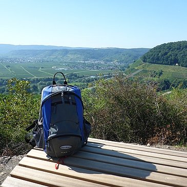 Aussicht auf die Mosellandschaft bei Klüsserath