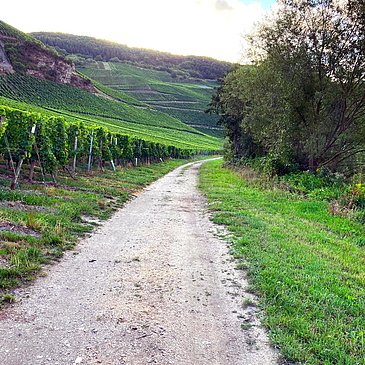 Wanderweg