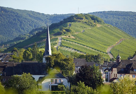 Mülheim an der Mosel