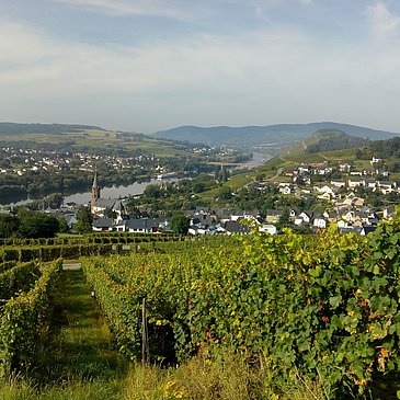 Aussicht auf  die Weinorte Lieser und Mülheim
