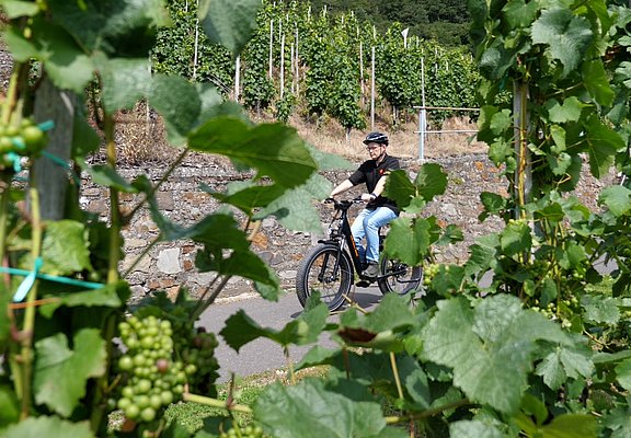Radfahren inmitten der Weinberge
