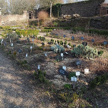 Abtsgarten Klausen mit Kräuterbeet